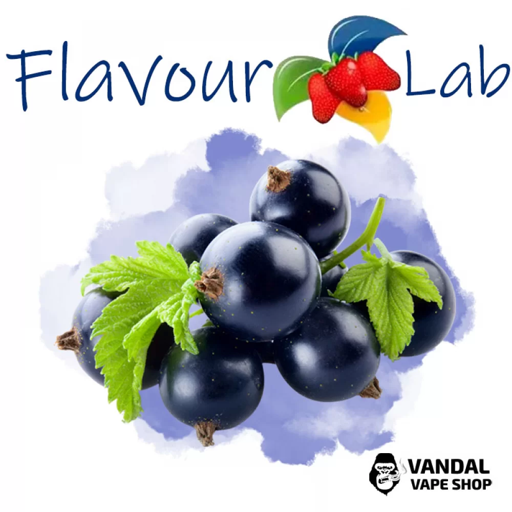 Ароматизатор FlavourLab 10 мл со вкусом Черной смородины