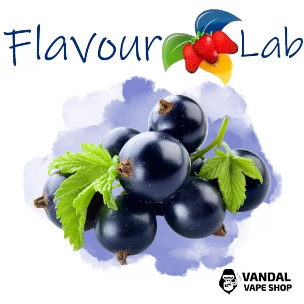 Ароматизатор FlavourLab 10 мл зі смаком чорної смородини