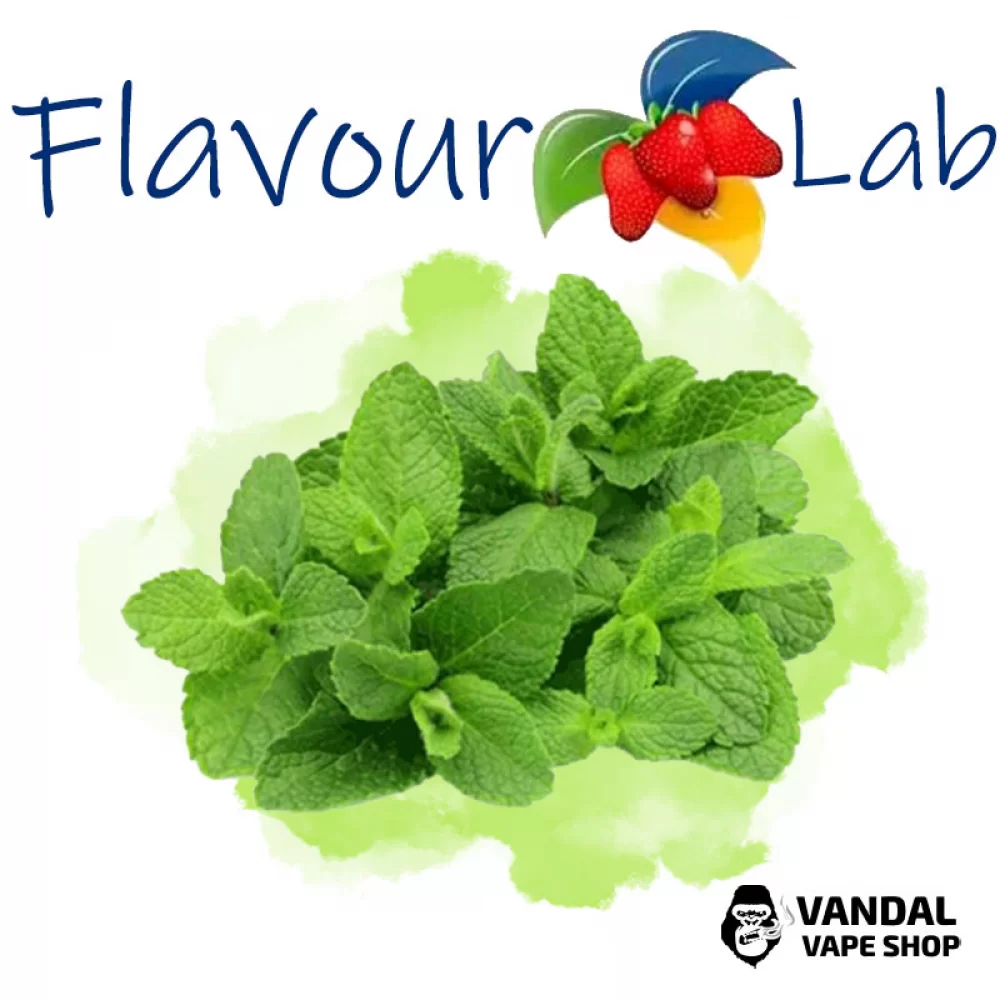 Ароматизатор FlavourLab 10 мл зі смаком ментолу