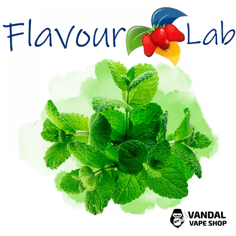 Ароматизатор FlavourLab 10 мл со вкусом мяты