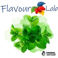 Ароматизатор FlavourLab 10 мл - М'ята