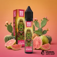 Набор Blizz Essence 30 мл 25 мг - Cactus Guava