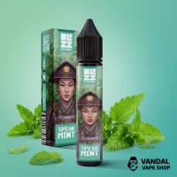 Набор Blizz Essence 30 мл 25 мг - Spearmint