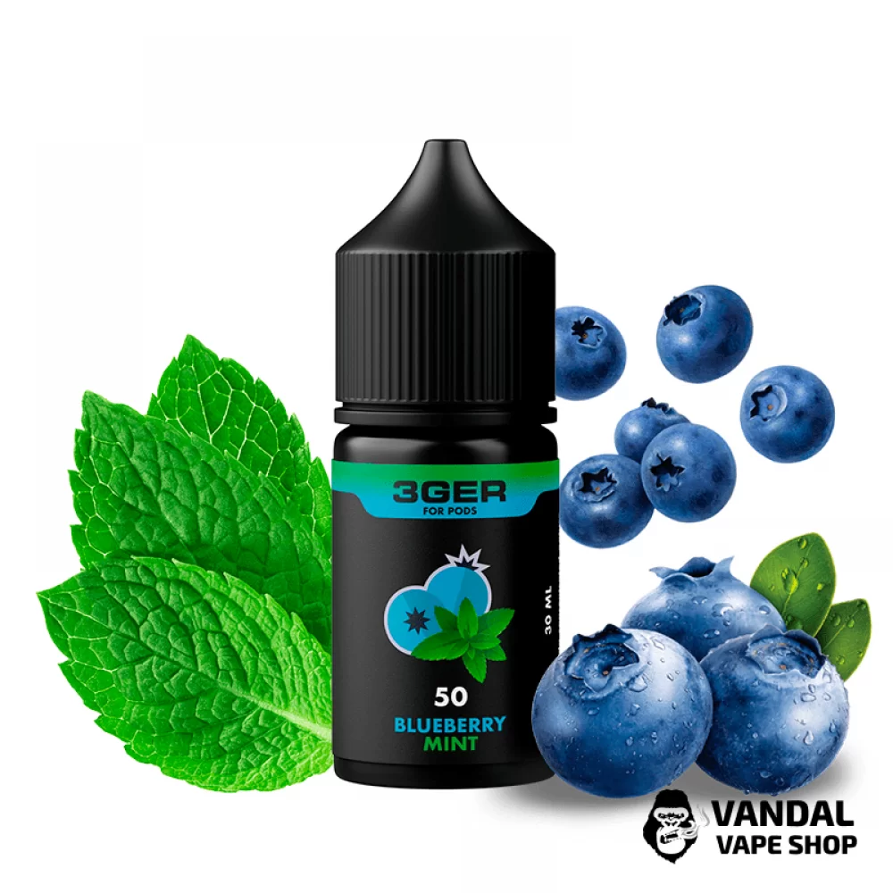 ЖИДКОСТЬ 3Ger Salt 30 мл, 35 мг НА СОЛЕВОМ НИКОТИНЕ со вкусом черники с мятой ЖИДКОСТЬ 3Ger Salt 30 мл, 35 мг НА СОЛЕВОМ НИКОТИНЕ со вкусом черники с мятой