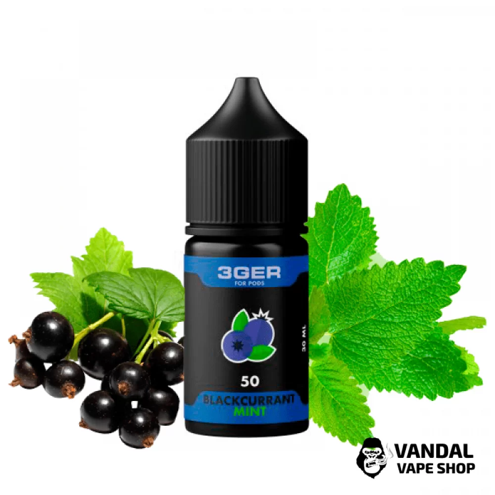 ЖИДКОСТЬ 3Ger Salt 30 мл, 35 мг НА СОЛЕВОМ НИКОТИНЕ со вкусом черной смородины с мятой ЖИДКОСТЬ 3Ger Salt 30 мл, 35 мг НА СОЛЕВОМ НИКОТИНЕ со вкусом черной смородины с мятой