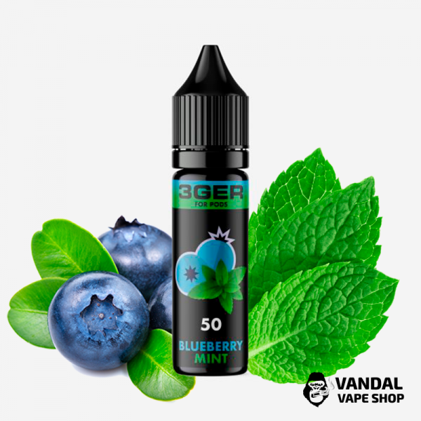 РІДИНА 3Ger Salt - Blueberry Mint 15 мл 35 мг НА СОЛЬОВОМУ НІКОТИНІ З СМАКОМ чорниці з м'ятою
