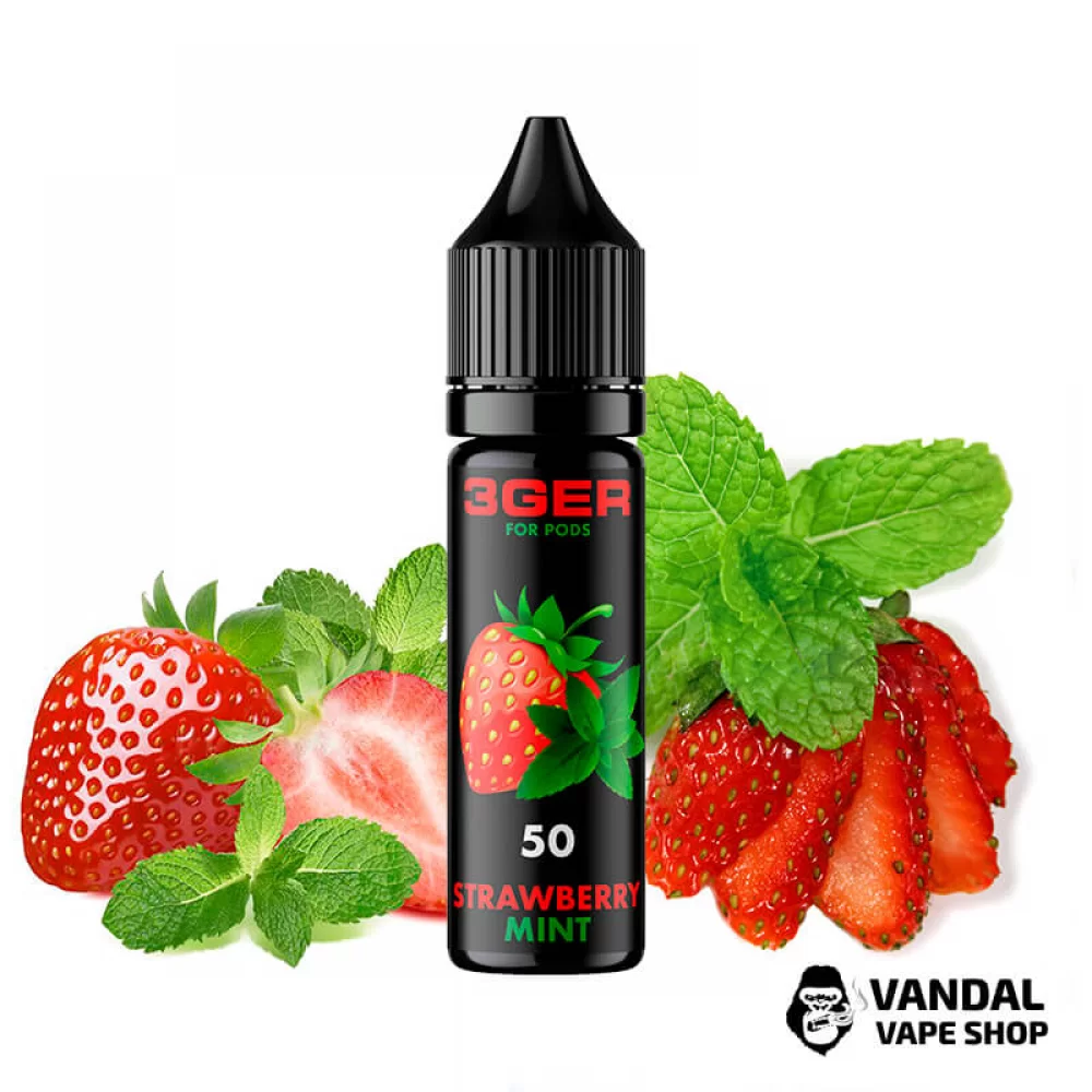 3Ger Salt - Strawberry Mint 15 мл 35 мг