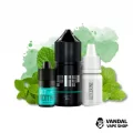 Набір для самозамісу Flip Salt 30 мл 50 мг зі смаком м'яти