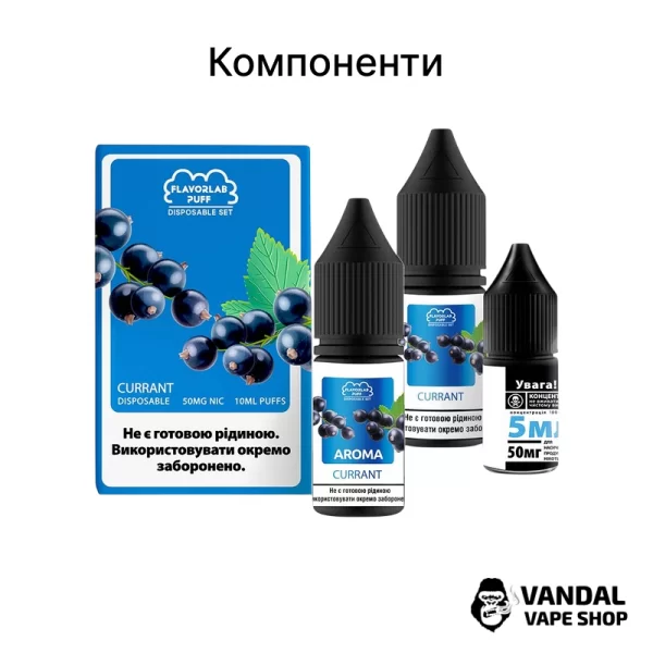 Набір для самозамісу Flavorlab Disposable Puff зі смаком свіжої лохини та льодом 10 мл 50 мг