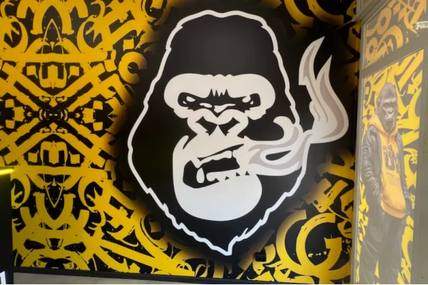 Яворов ул. Маковея, 39