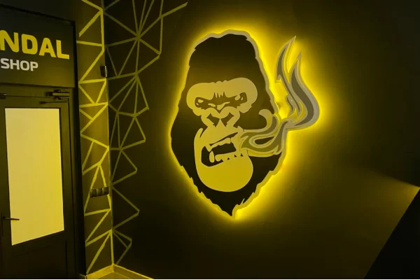 Мукачево, ул. Габермана, 15