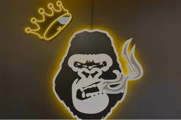 Ужгород, ул. Фединца, 42/5