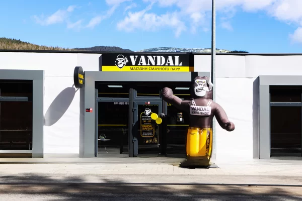 Поляница, ул. Урочище Вишни 639