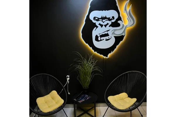 Винница, ул. Коцюбинского, 32