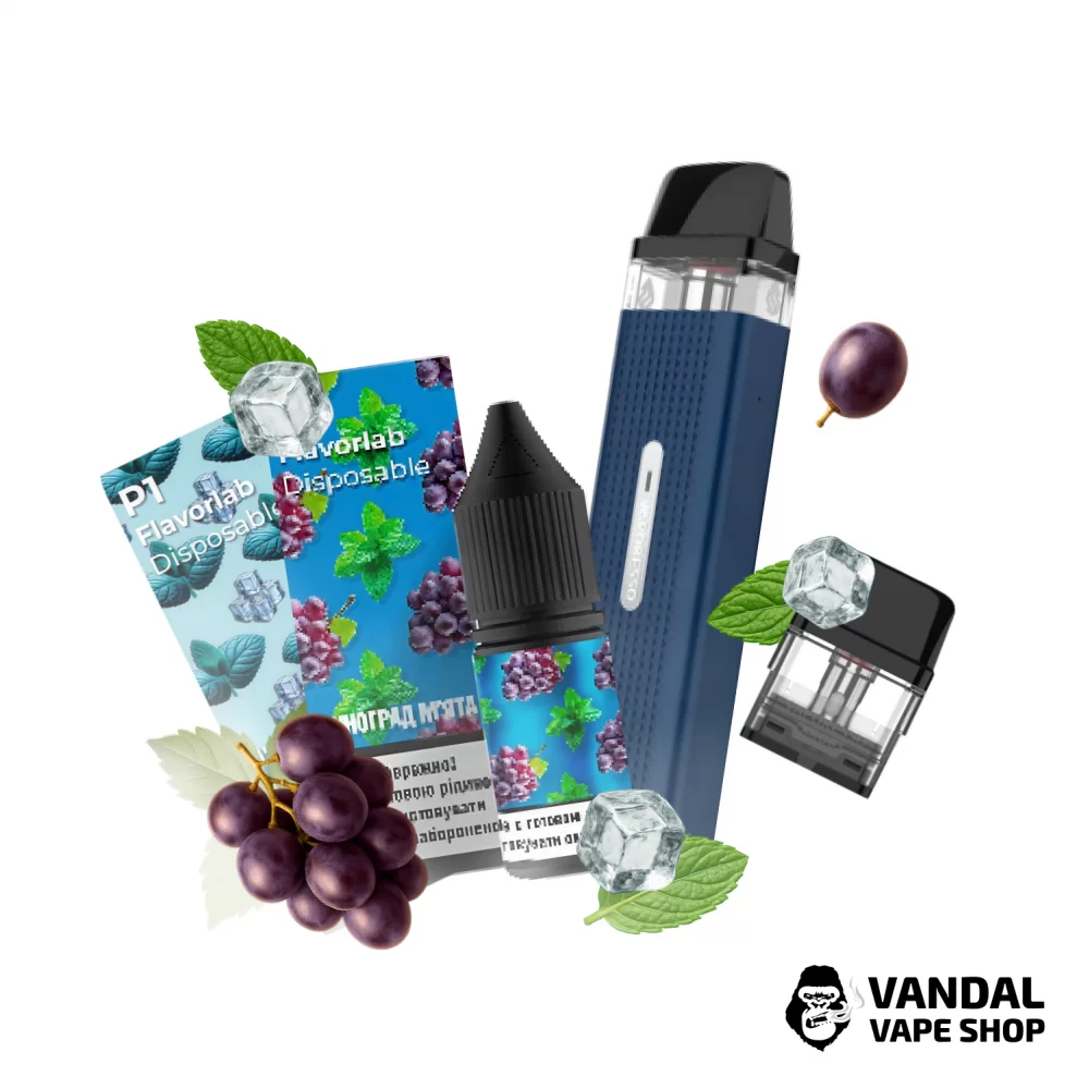 Набір M 2.0: подсистема Vaporesso XROS Mini в темно-синьому кольорі + картридж 1.0 Ом + 2 набори для самозамісу Flavorlab p1 10 мл 50 мг: зі смаком винограду з ментолом/зі смаком м'яти з ментолом