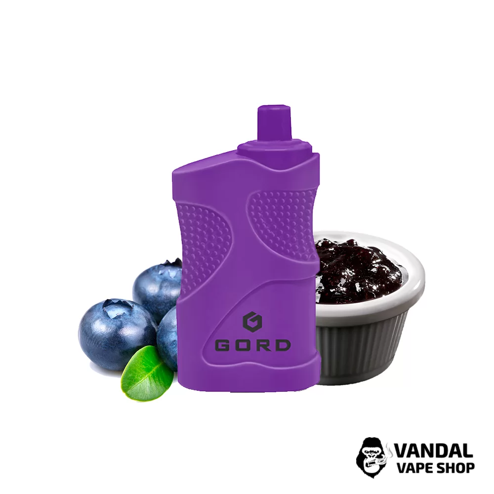 Одноразовая Pod система Gord 4000 550 маг 5% на 4000 затяжек со вкусом черничного джема