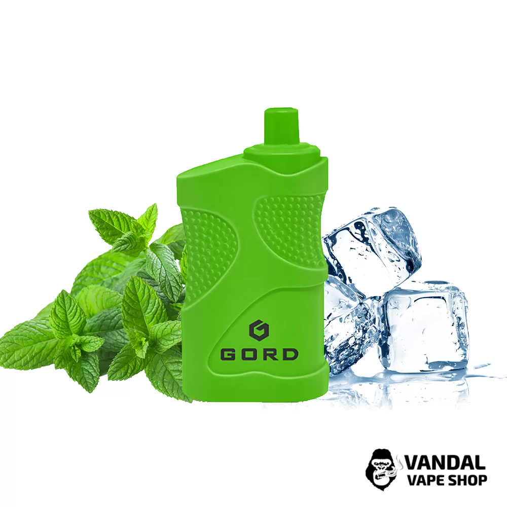 Одноразовая Pod система Gord 4000 550 маг 5% на 4000 затяжек со вкусом мяты со льдом