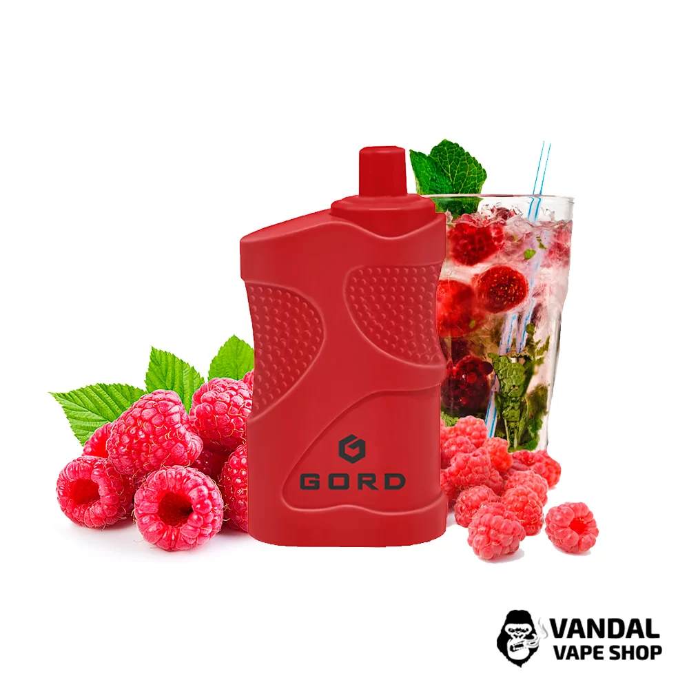 Одноразова Pod система Gord 4000 550 маг 5% на 4000 затяжок зі смаком мохіто з малини Одноразова Pod система Gord 4000 550 маг 5% на 4000 затяжок зі смаком мохіто з малини