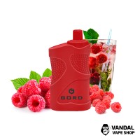 Gord 4000 - Raspberry mojito