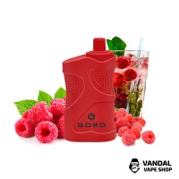 Gord 4000 - Raspberry mojito