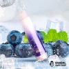 Blueberry Ice