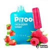 Fresh Berry Sorbet