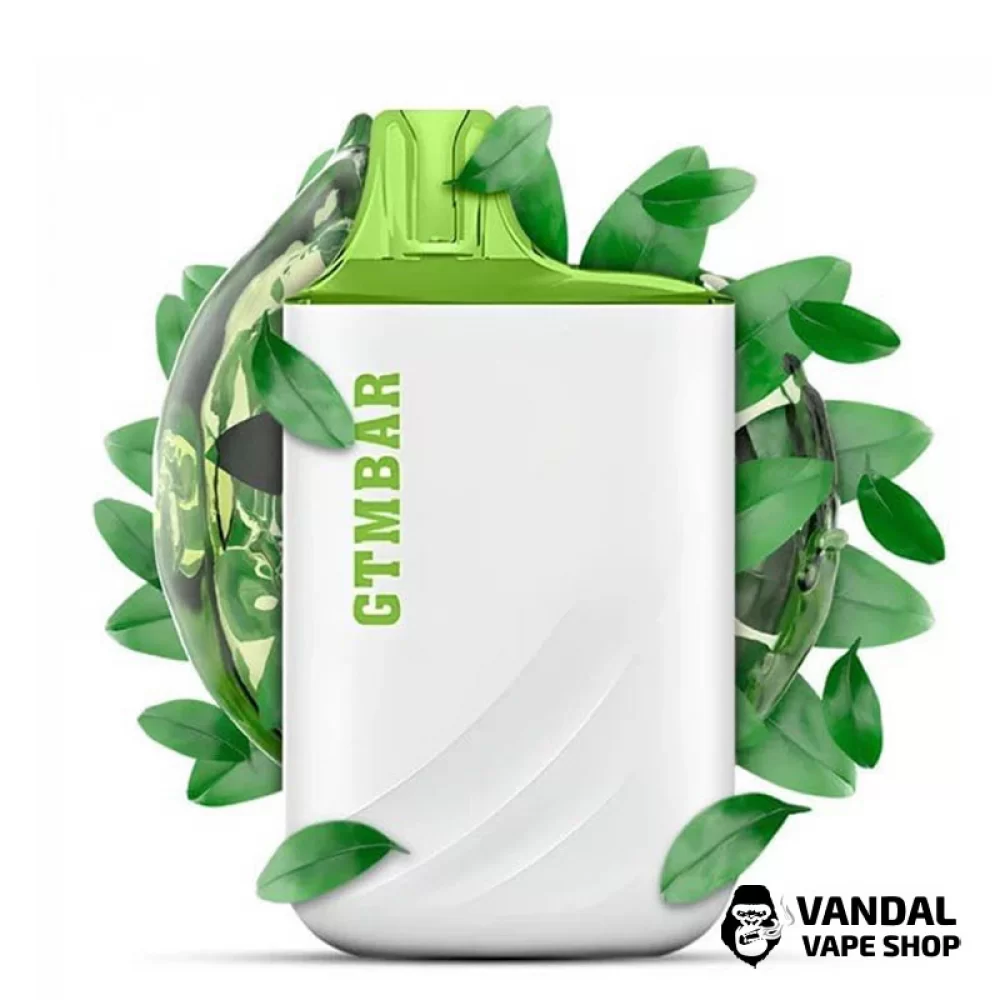 Одноразова Pod система GTM Bar Porter 5000 50 мг 550 мАг на 5000 затяжок зі смаком китайського зеленого чаю Одноразова Pod система GTM Bar Porter 5000 50 мг 550 мАг на 5000 затяжок зі смаком китайського зеленого чаю
