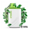 Chinese Green Tea