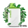 Chinese Green Tea