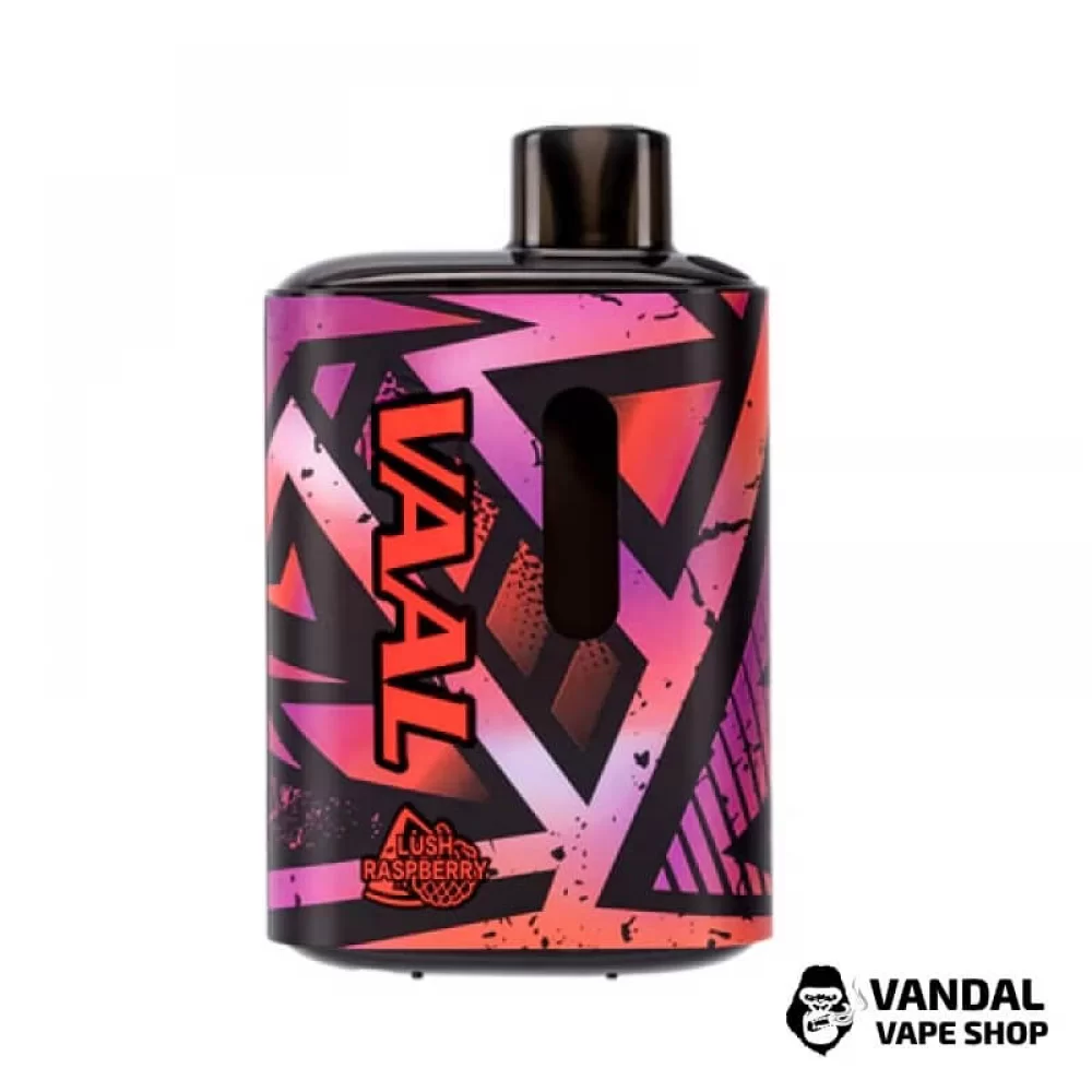 Одноразовый Pod Joyetech VAAL E5000 650 мАч 5% на 5000 затяжек со вкусом арбуза и малины с прохладой