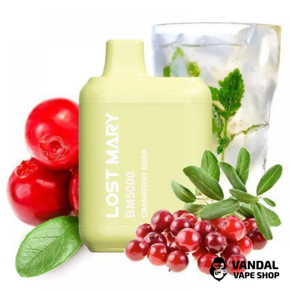 Одноразовий Pod Lost Mary BM5000 650 мАг 5% на 5000 затяжок зі смаком журавлинної газованки Одноразовий Pod Lost Mary BM5000 650 мАг 5% на 5000 затяжок зі смаком журавлинної газованки