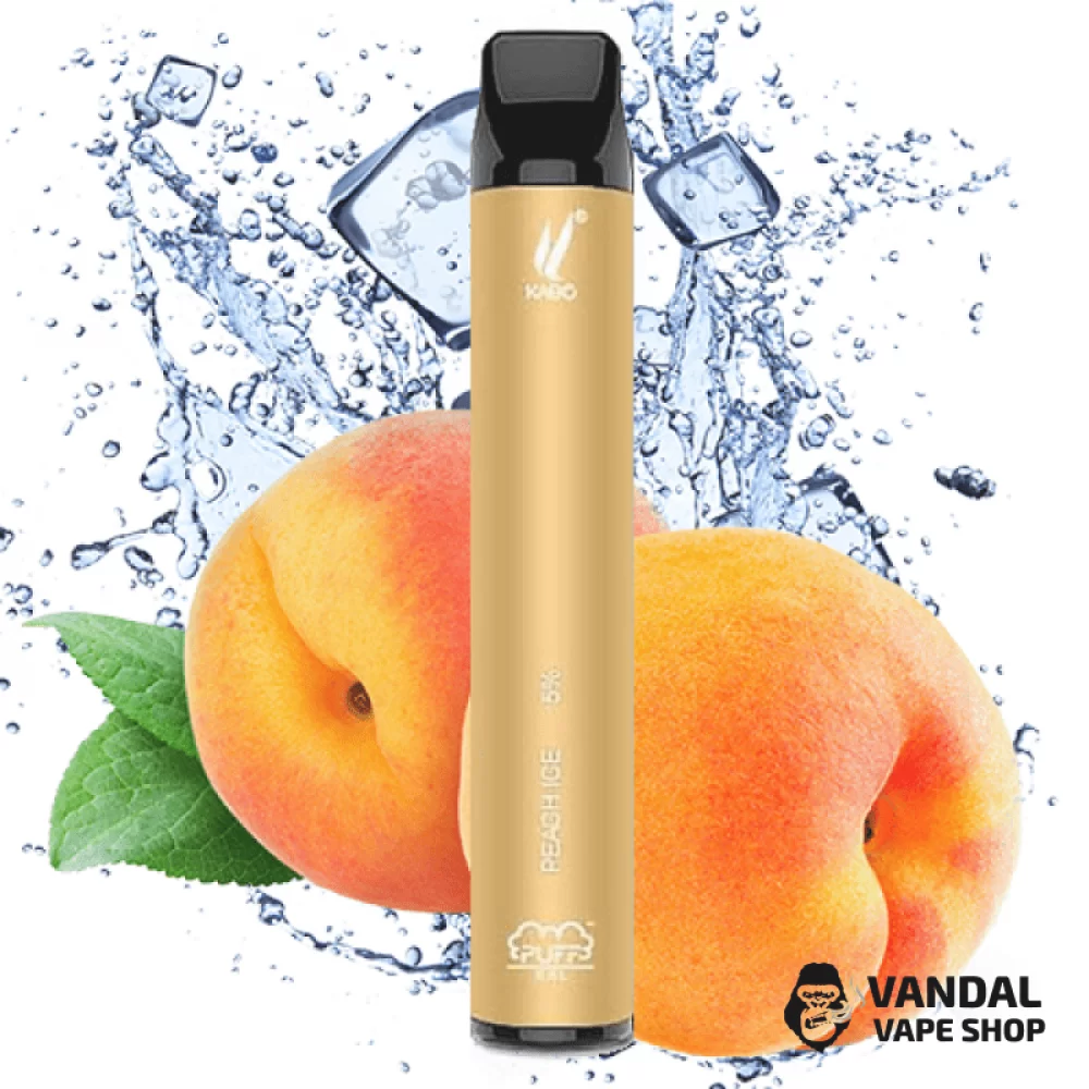 Одноразова Pod система Puff XXL Disposable Kit 1200 mAh на 1600 затяжок зі смаком персика з холодком