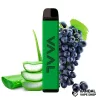 Aloe Grape