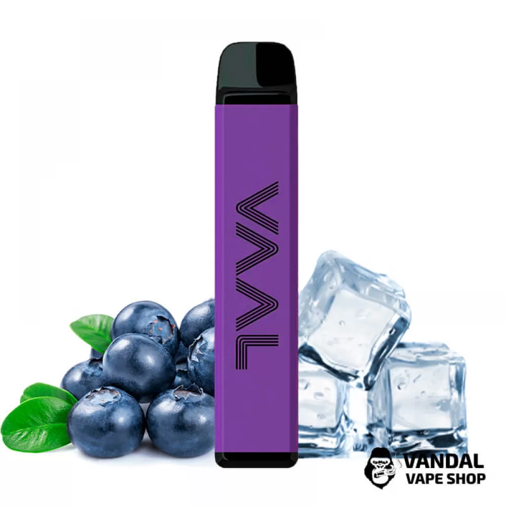 Одноразовый Pod Joyetech VAAL 4000M 590 мАч на 4000 затяжек со вкусом черники с холодком