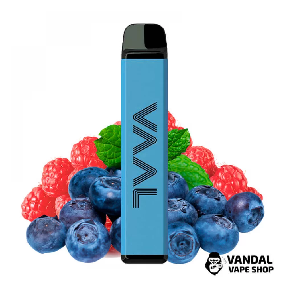 Одноразовый Pod Joyetech VAAL 4000M 590 мАч на 4000 затяжек со вкусом черники и малины