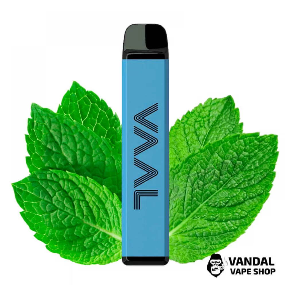 Одноразовый Pod Joyetech VAAL 4000M 590 мАч на 4000 затяжек со вкусом мяты