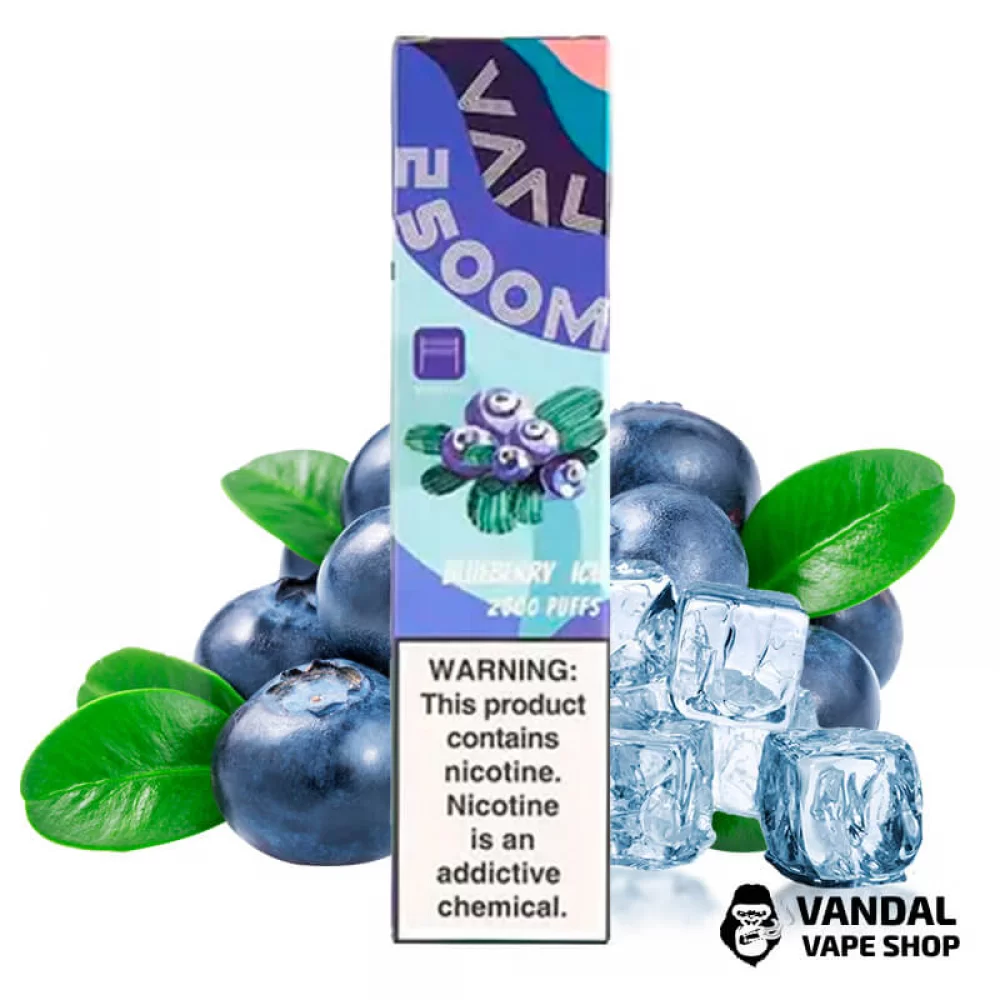 Одноразовая Pod система Joyetech VAAL 2500M 1300 мАч со вкусом черники с холодком Одноразовая Pod система Joyetech VAAL 2500M 1300 мАч со вкусом черники с холодком