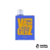 Blueberry Razz Lemonade