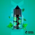 Набор для самозамеса Chaser Lux 30 мл 65 мг со вкусом мяты Набор для самозамеса Chaser Lux 30 мл 65 мг со вкусом мяты