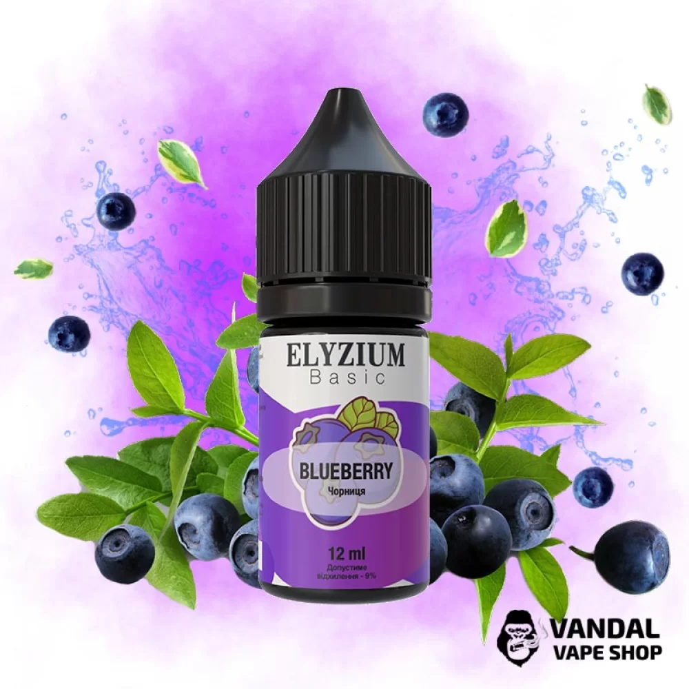 Набор для самозамеса Elyzium 30 мл 50 мг - со вкусом черники