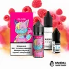 Raspberry Lemonade