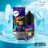 Набори для самозамісу FL350 Strong 30 мл 50 мг - Blueberry Garnet Ice