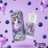 Blueberry Ice Cream