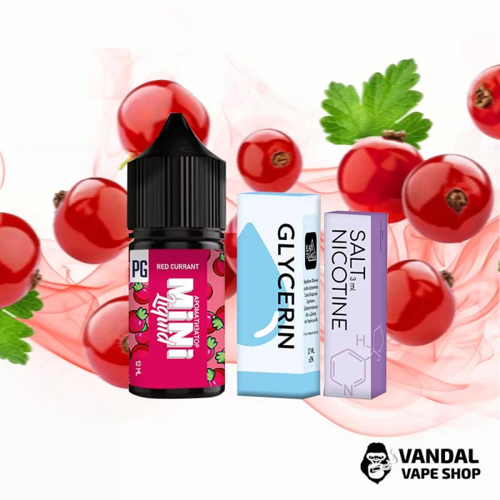 Набор для самозамеса Mini Liquid  30 мл 25 мг со вкусом красной смородины Набор для самозамеса Mini Liquid  30 мл 25 мг со вкусом красной смородины