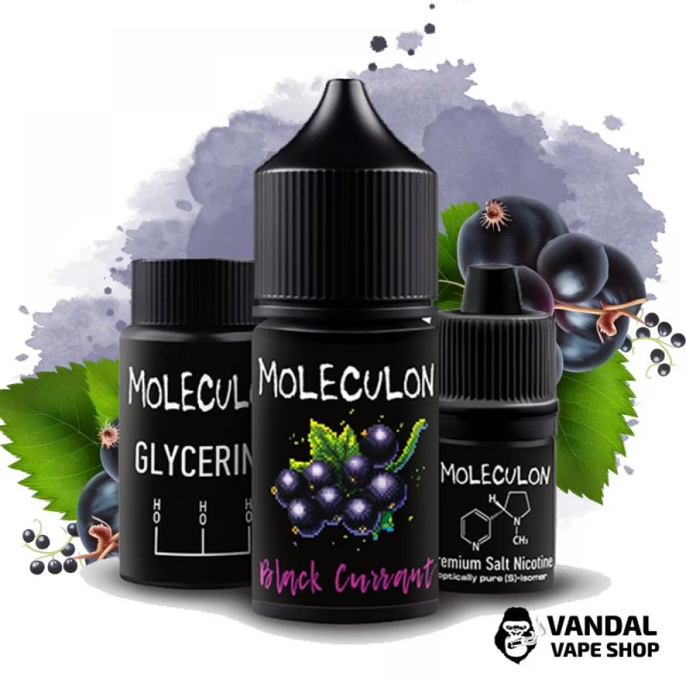 Набор для самозамеса Moleculon 30 мл 25 мг со вкусом смородины Набор для самозамеса Moleculon 30 мл 25 мг со вкусом смородины