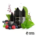 Набір для самозамісу Wick&Wire Salt 30 мл 25 мг зі смаком лісових ягід і м'яти