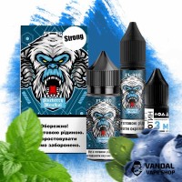 Набори для самозамісу FL350 Strong 30 мл 50 мг - Blueberry Menthol 