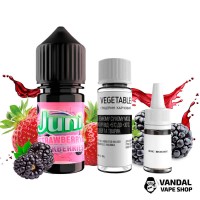 Набор для самозамеса Juni 30 мл 65 мг - Strawberry Blackberries