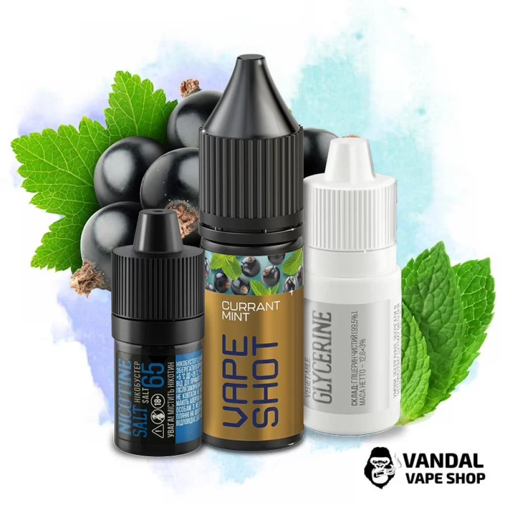 Набор для самозамеса Vape Shot 15 мл 65 мг со вкусом смородины и мяты Набор для самозамеса Vape Shot 15 мл 65 мг со вкусом смородины и мяты