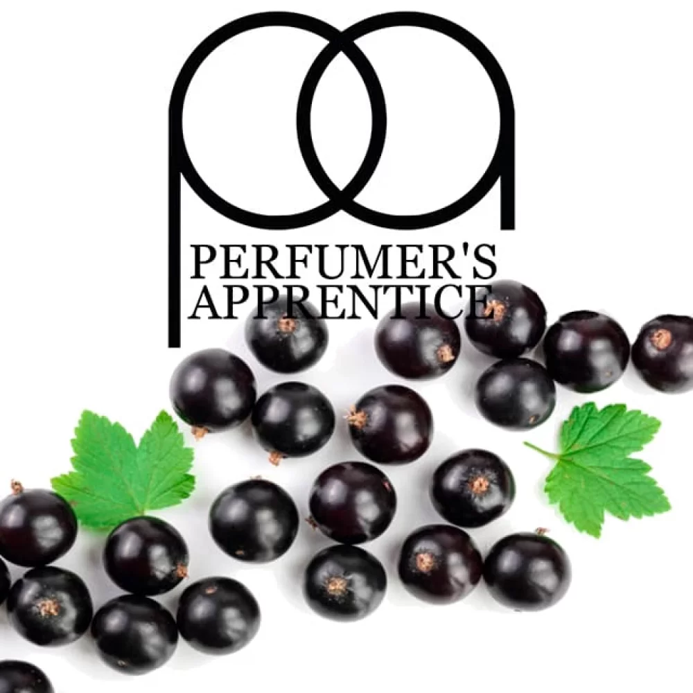 Ароматизатор TPA/TFA 10 мл со вкусом черной смородины